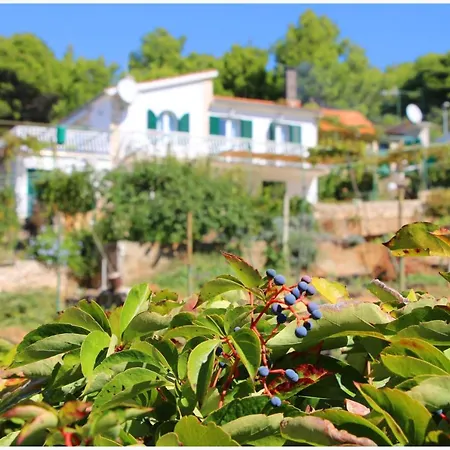 Katarina And House Marieta Feriehus