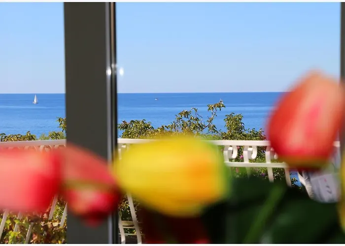 Katarina And House Marieta