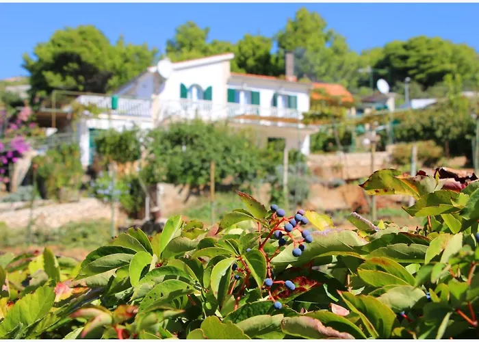 Katarina And House Marieta בית נופש