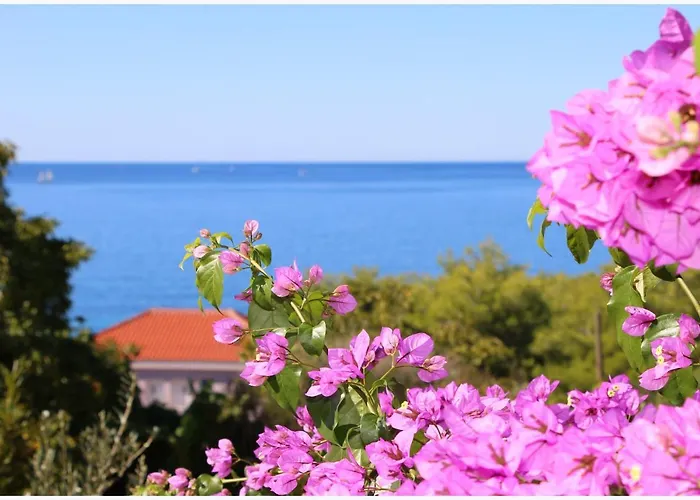 Katarina And House Marieta