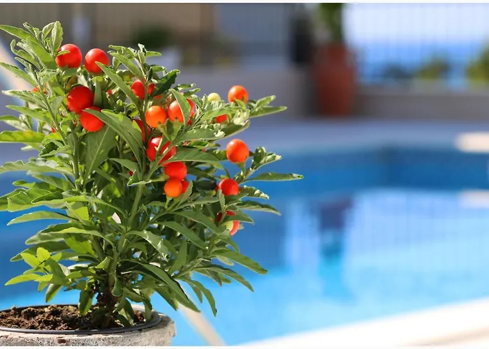 Katarina And House Marieta בית נופש Dolac